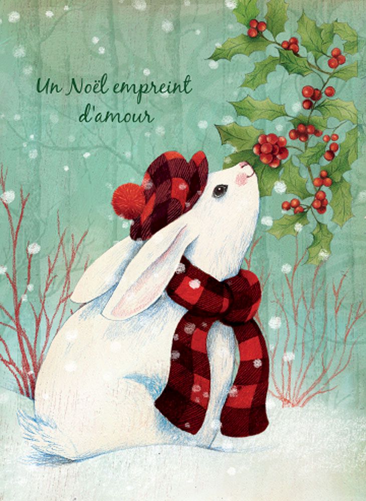Cartes de Noël sans texte et amusantes avec enveloppe illustrée assortie