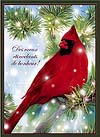 Carte de souhaits sans texte - Cardinal de Noël